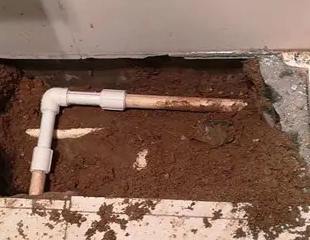 扶风测漏水哪家好