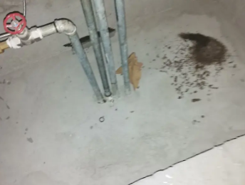 扶风卫生间测漏水价格明细