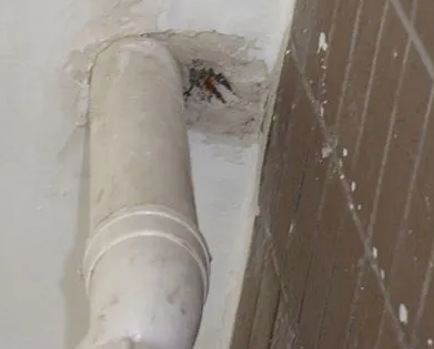 扶风漏水检测哪家好